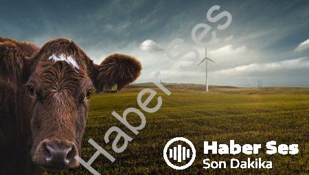 Biyoyakıtlar: Enerji Üretiminde Yenilikçi Yaklaşımlar