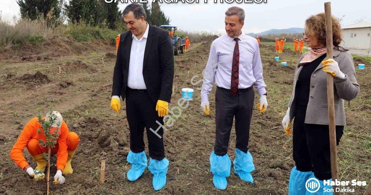 "Dalaman Açık Cezaevi'nde Tarımsal Üretim: Sakız Ağacı Projesi" başlıklı haber için fotorealistik, p