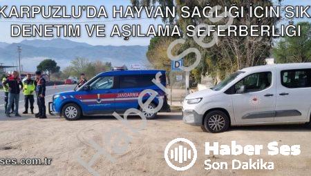 Karpuzlu’da Hayvan Sağlığı İçin Sıkı Denetim ve Aşılama Seferberliği