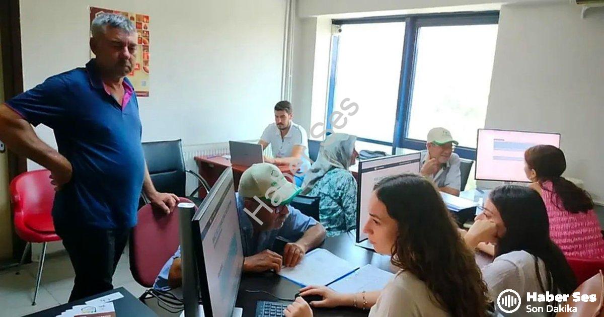 "Söke Ovası'nda Tarım Sayımı Rekor Seviyede: Yüzde 90 Tamamlandı" başlıklı haber için fotorealistik,