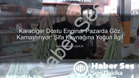 Karaciğer Dostu Enginar Pazarda Kapış Kapış Gidiyor: Şifa Kaynağına Yoğun İlgi!