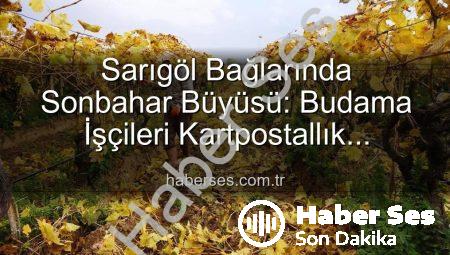 Sarıgöl Bağlarında Sonbahar Büyüsü: Budama İşçileri Kartpostallık Manzarada Çalışıyor