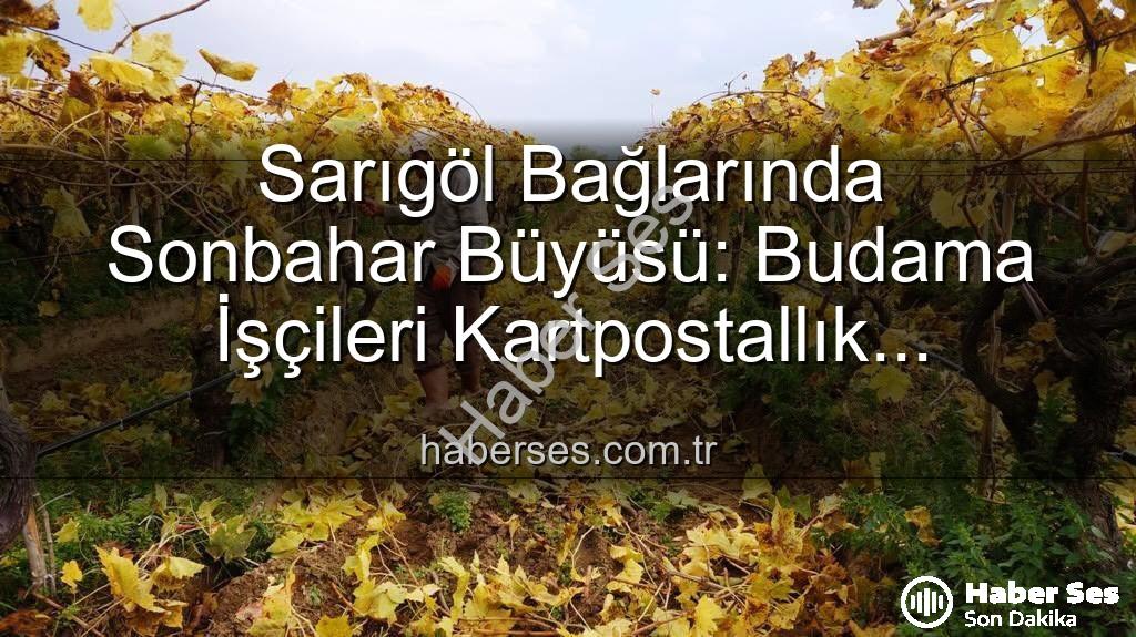 Sarıgöl bağları - Sarıgöl Bağlarında Sonbahar Büyüsü: Budama İşçileri Kartpostallık Manzarada Çalışıyor