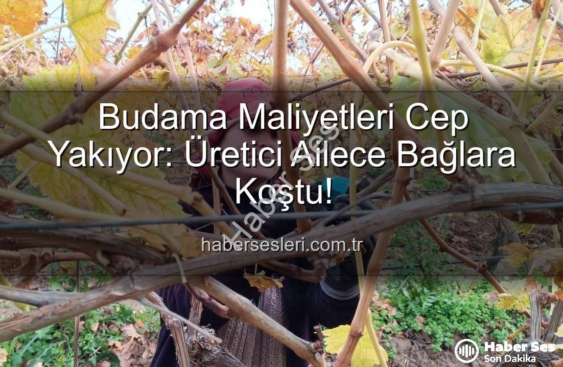 budama maliyeti - Üreticiyi Zorlayan Budama Maliyeti: Aileler Bağlara Koştu!