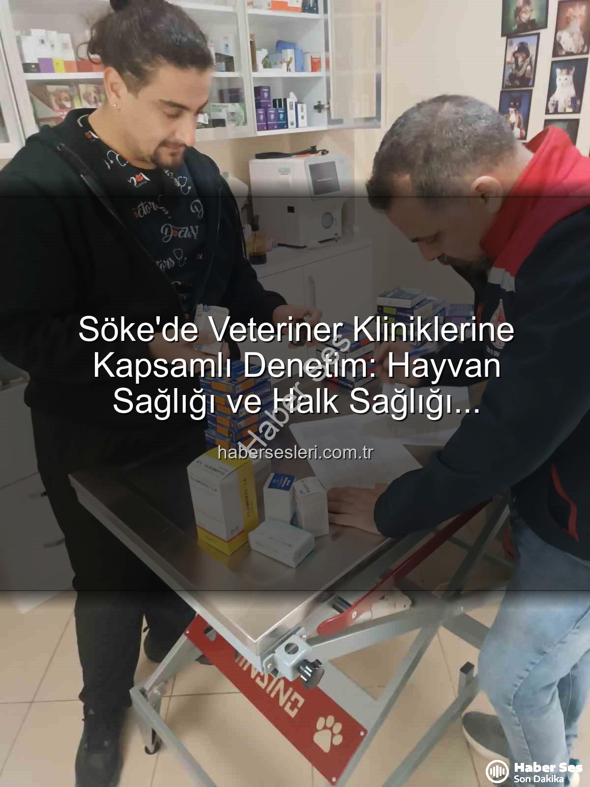 veteriner klinik denetimi - Söke'de Veteriner Kliniklerinde Kapsamlı Denetim: Hayvan Sağlığı ve Halk Sağlığı Mercek Altında