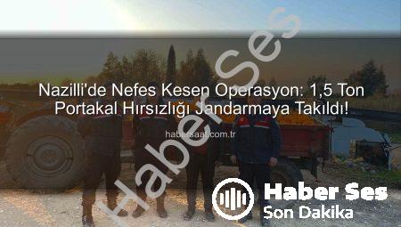 Nazilli’de Nefes Kesen Operasyon: 1,5 Ton Portakal Hırsızlığı Jandarmaya Takıldı!
