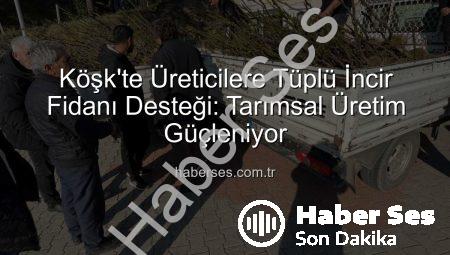 Köşk’te Üreticilere Tüplü İncir Fidanı Desteği: Tarımsal Üretim Güçleniyor