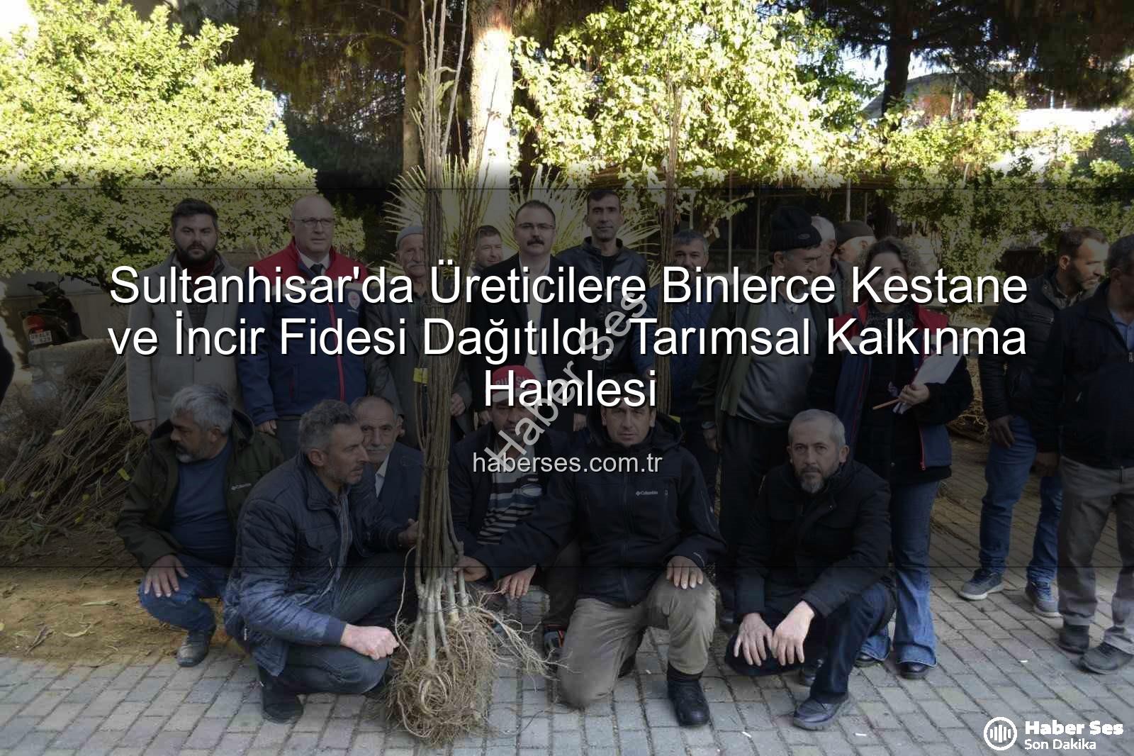 Sultanhisar fide dağıtımı - Sultanhisar'da Üreticilere Binlerce Kestane ve İncir Fidesi Dağıtıldı: Tarımsal Kalkınma Hamlesi