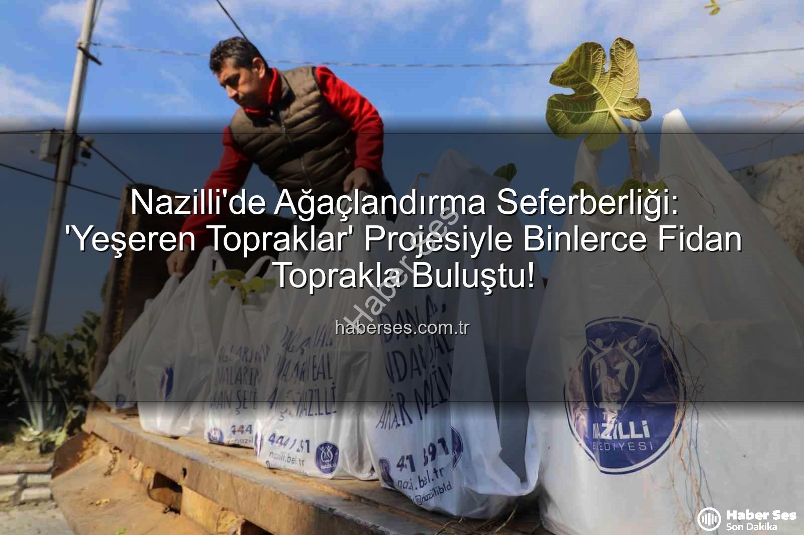 ağaç fidanı dağıtımı - Nazilli'de Ağaçlandırma Seferberliği: 'Yeşeren Topraklar' Projesiyle Binlerce Fidan Toprakla Buluştu!