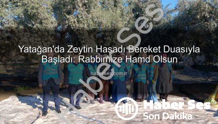 Yatağan’da Zeytin Hasadı Bereket Duasıyla Başladı: Rabbimize Hamd Olsun