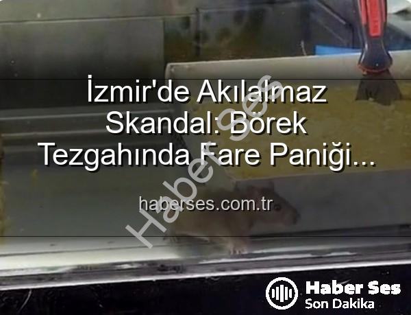 İzmir'de Akılalmaz Skandal: Börek Tezgahında Fare Paniği! Halka Hizmet Yerine Farelere mi Hizmet?