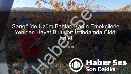 Sarıgöl’de Üzüm Bağları Kadın Emekçilerle Yeniden Hayat Buluyor: İstihdamda Ciddi Artış!