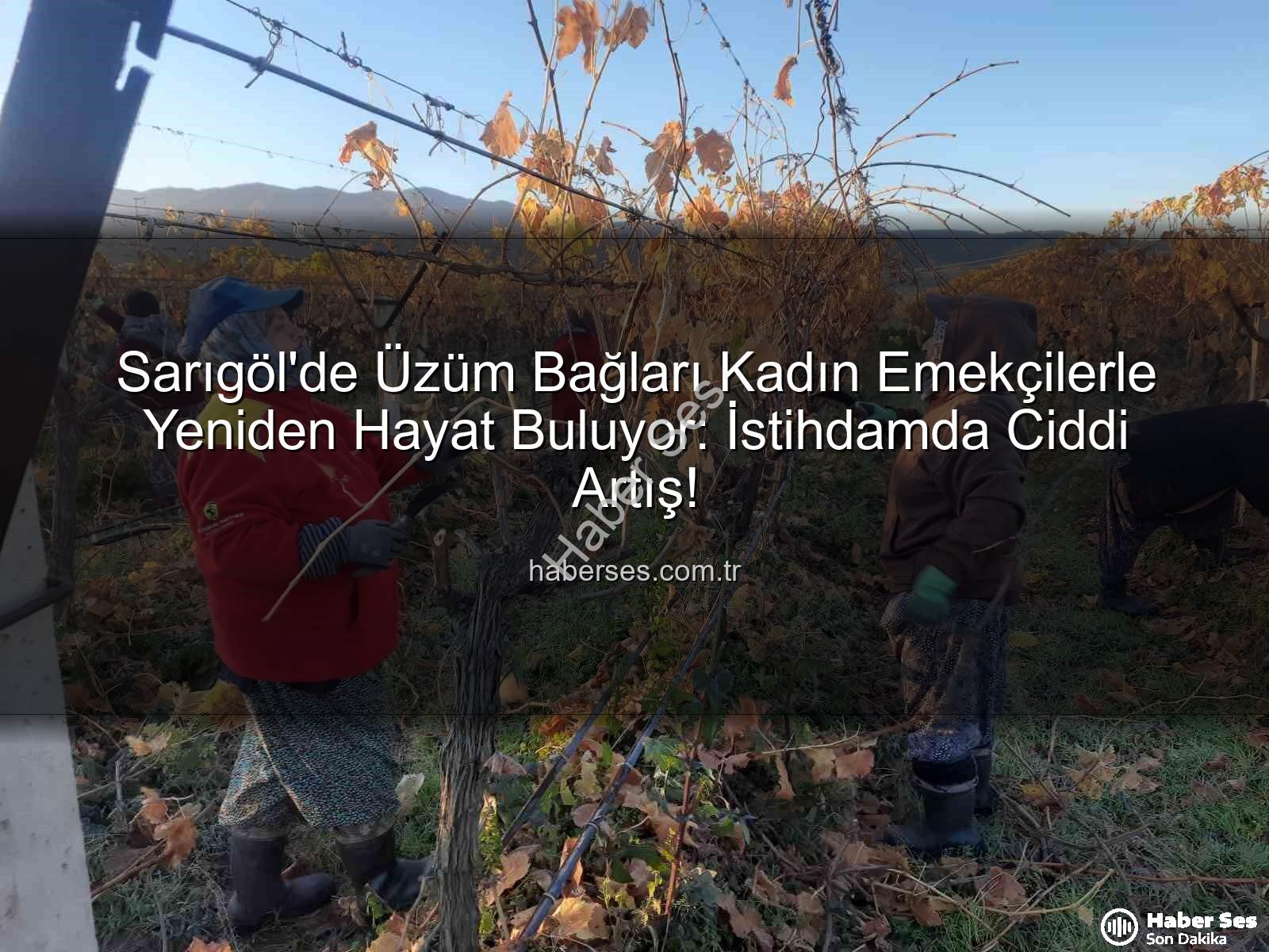 kadın istihdamı - Sarıgöl'de Üzüm Bağları Kadın Emekçilerle Yeniden Hayat Buluyor: İstihdamda Ciddi Artış!