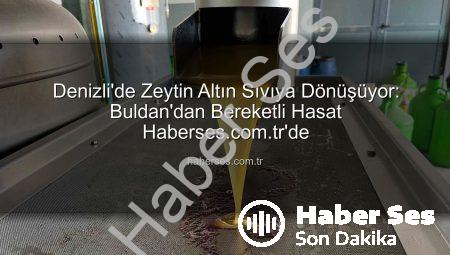 Denizli’de Zeytin Altın Sıvıya Dönüşüyor: Buldan’dan Bereketli Hasat Haberses.com.tr’de