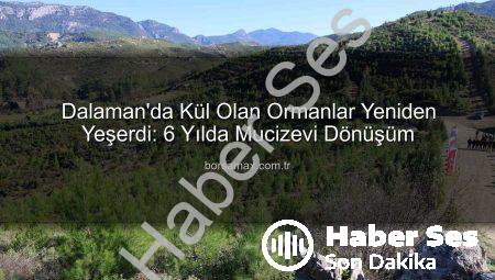 Dalaman’da Kül Olan Ormanlar 6 Yılda Yeniden Yeşerdi: 450 Bin Fidan Toprakla Buluştu