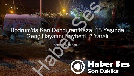 Bodrum’da Acı Kaza: Genç Sürücü Hayatını Kaybetti, 2 Yaralı